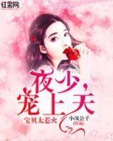 夜少,宠上天小说阅读