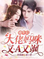 重生后,大佬妈咪又A又飒