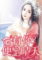 有你便是晴天小说阅读