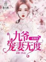 一夜锁情:九爷宠妻无度