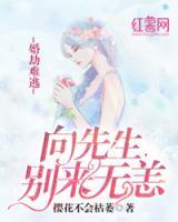 婚劫难逃:向先生,别来无恙