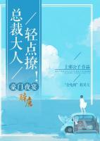 豪门夜宴:总裁大人,轻点撩!