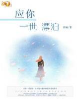 应你一世漂泊小说阅读