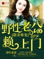 甜妻难宠：野性老公赖上门小说阅读