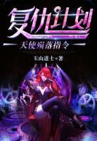 复仇计划:天使殒落指令