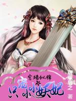 宫墙似锦:只宠小小妖妃