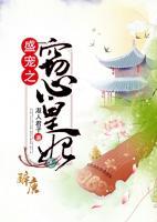 盛宠之窃心凰妃小说阅读