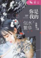 你是我的似水繁华小说阅读