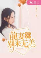 婚情难求:前妻别来无恙