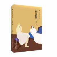 在县城小说阅读