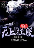 无上征服系统小说阅读