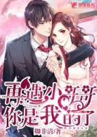再遇小哥哥,你是我的了