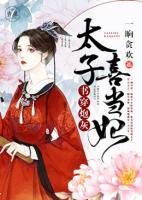 书穿炮灰:太子喜当妃