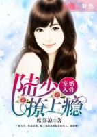 宠婚入骨:陆少撩上瘾