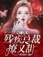 豪门傻妻:残疾总裁撩又甜