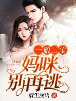 一胎二宝：妈咪别再逃小说阅读