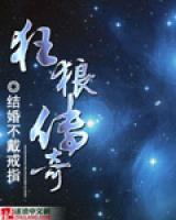 狂狼传奇小说阅读