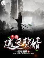 大唐逍遥赘婿小说阅读