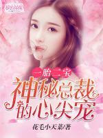 一胎二宝:神秘总裁的心尖宠