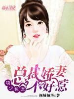 项少独宠,总裁娇妻不好惹