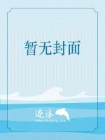 代号：野狼小说阅读