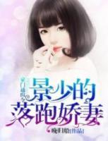 豪门通缉令:景少的落跑娇妻