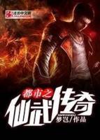都市之仙武传奇小说阅读