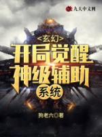玄幻:开局觉醒神级辅助系统