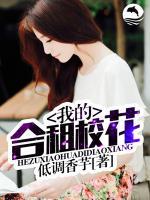 我的合租校花小说阅读