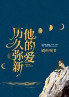 他的爱，历久弥新小说阅读
