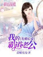 先婚后爱:我的霸道老公小说阅读