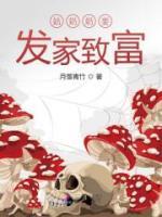 赵婧季明宣小说阅读