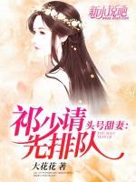 头号甜妻：祁少请先排队小说阅读