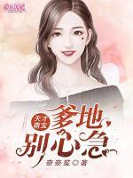 天才萌宝:爹地,别心急