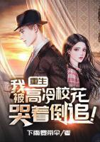 重生:我被高冷校花哭着倒追!