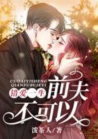 错爱一生,前夫不可以