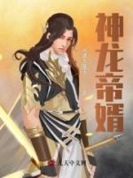 神龙帝婿小说阅读