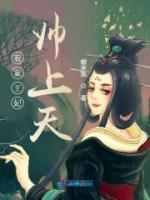 我家王妃帅上天小说阅读
