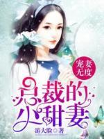 宠妻无度:总裁的小甜妻