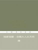 独家宠爱:总裁大人从天而降
