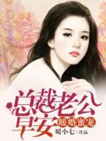 暖婚蜜宠:总裁老公早安