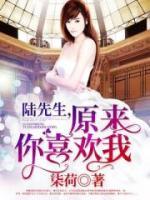 陆先生，原来你喜欢我小说阅读