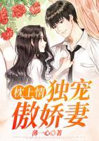 枕上情,独宠傲娇妻