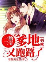 一胎三宝:爹地,妈咪又跑路了!