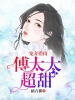 宠妻指南：傅太太超甜小说阅读