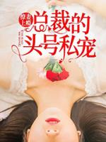 撩妻上瘾:总裁的头号私宠