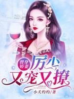 替身娇妻：厉少又宠又撩小说阅读
