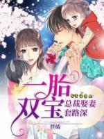 一胎双宝:总裁娶妻套路深