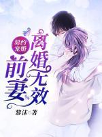 契约宠婚：前妻离婚无效小说阅读