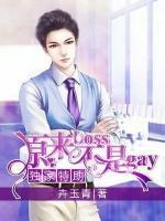 独家特助:原来boss不是gay